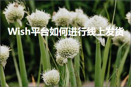 璺ㄥ鐢靛晢鐭ヨ瘑:Wish骞冲彴濡備綍杩涜绾夸笂鍙戣揣