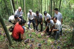 农村致富种植好项目有哪些？农村种植这些最赚钱！.jpg